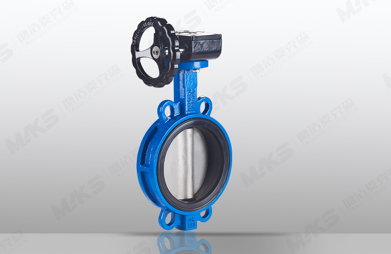 对夹中线蝶阀（蜗轮）