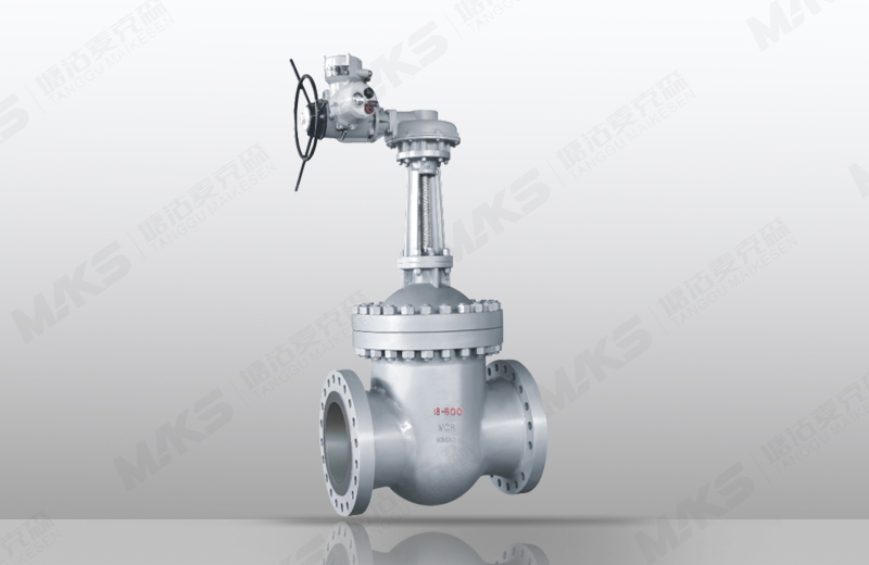 平行式双闸板闸阀