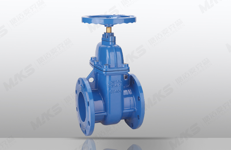 软密封暗杆闸阀